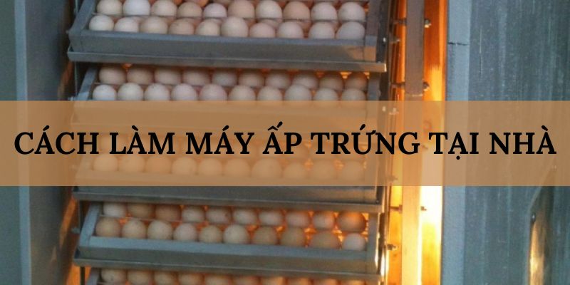 Banner www.redevent.vn