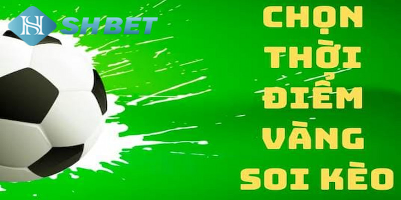 Banner www.redevent.vn