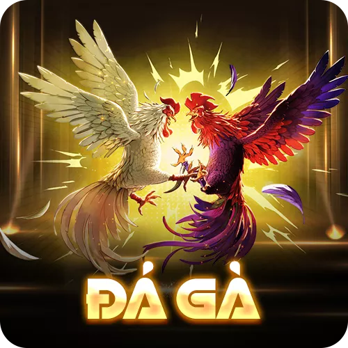 Banner www.redevent.vn