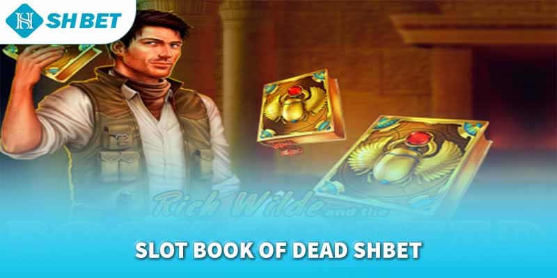 Banner www.redevent.vn