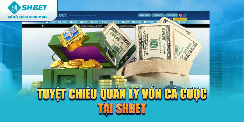 Banner www.redevent.vn